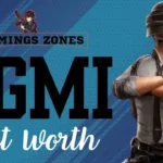 BGMI Net Worth